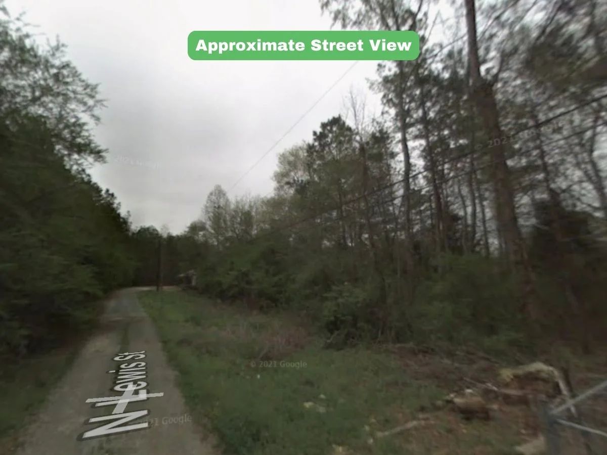 2.9 Acres Land For Sale in Chattooga, GA - Image 3