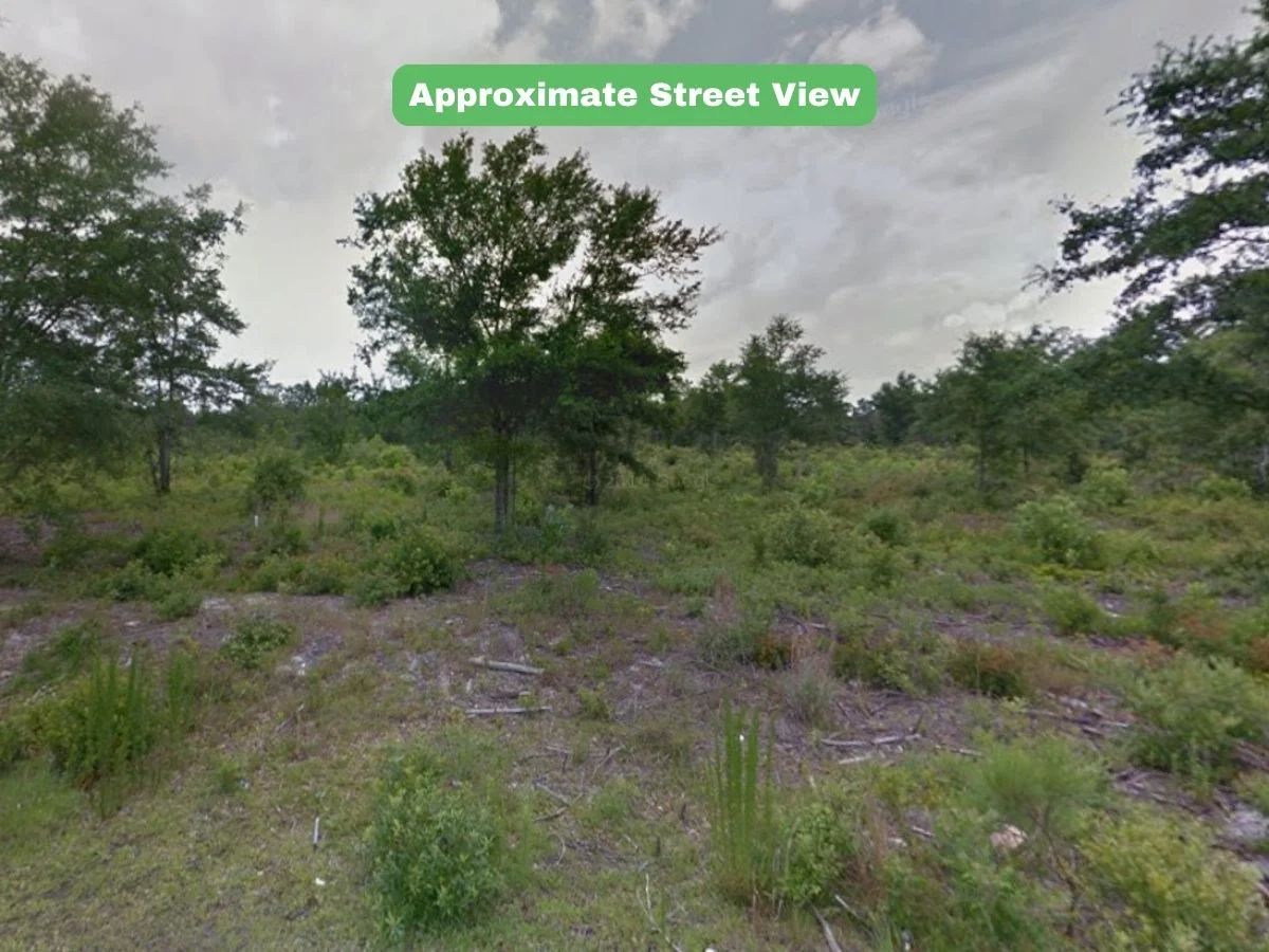 0.21 Acres  Land For Sale in Brunswick, NC - Image 3