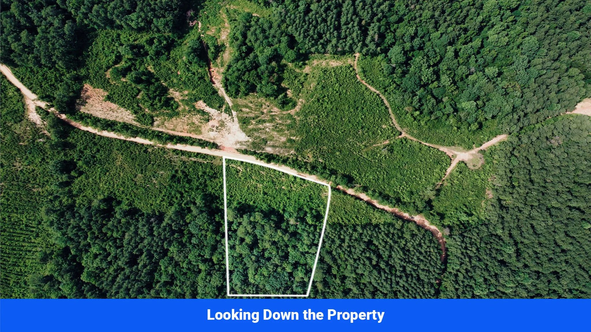 2.17 Acres in Jasper County, MS — No Zoning in Jasper County, MS