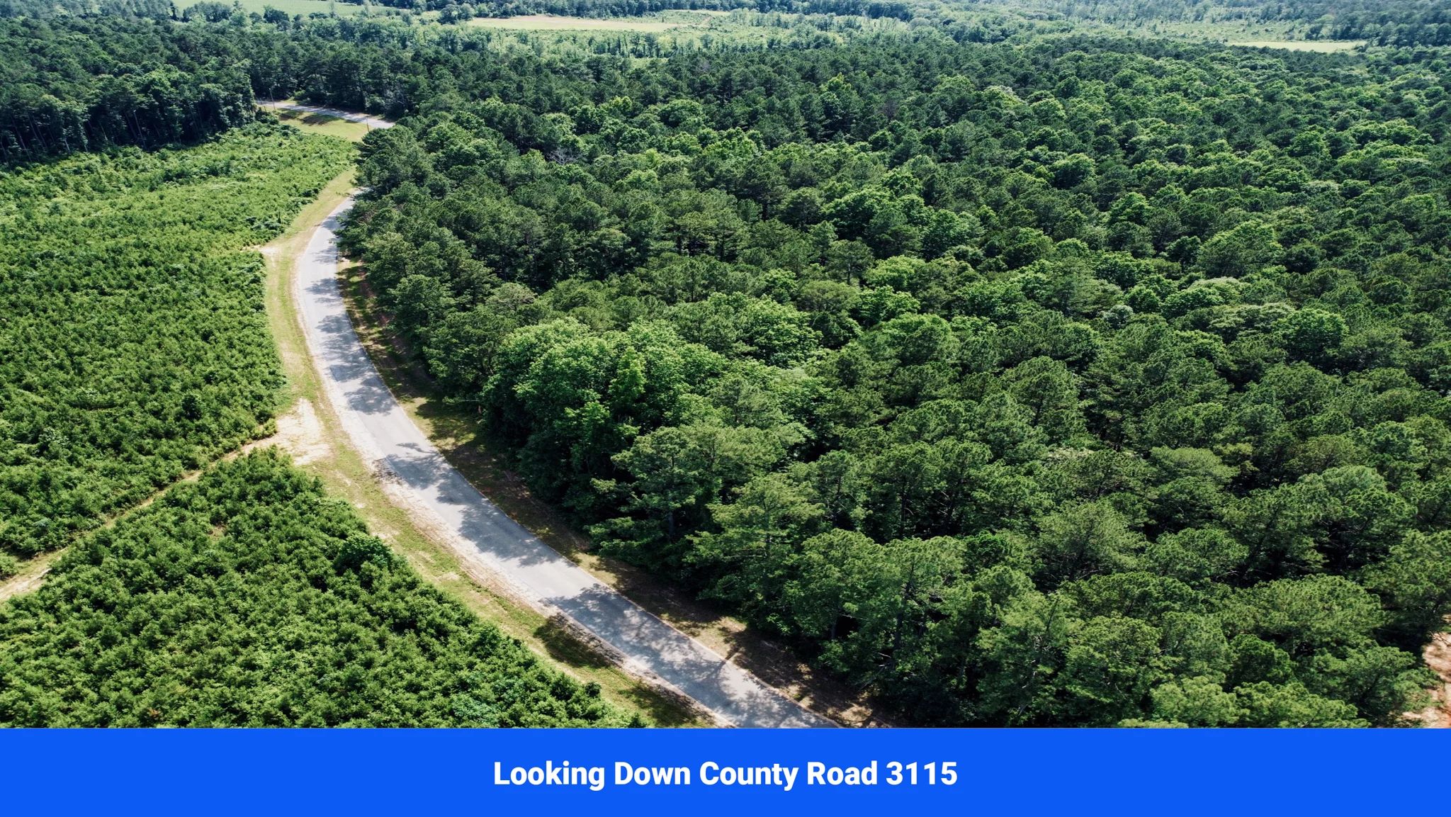 2.17 Acres in Jasper County, MS — No Zoning in Jasper County, MS