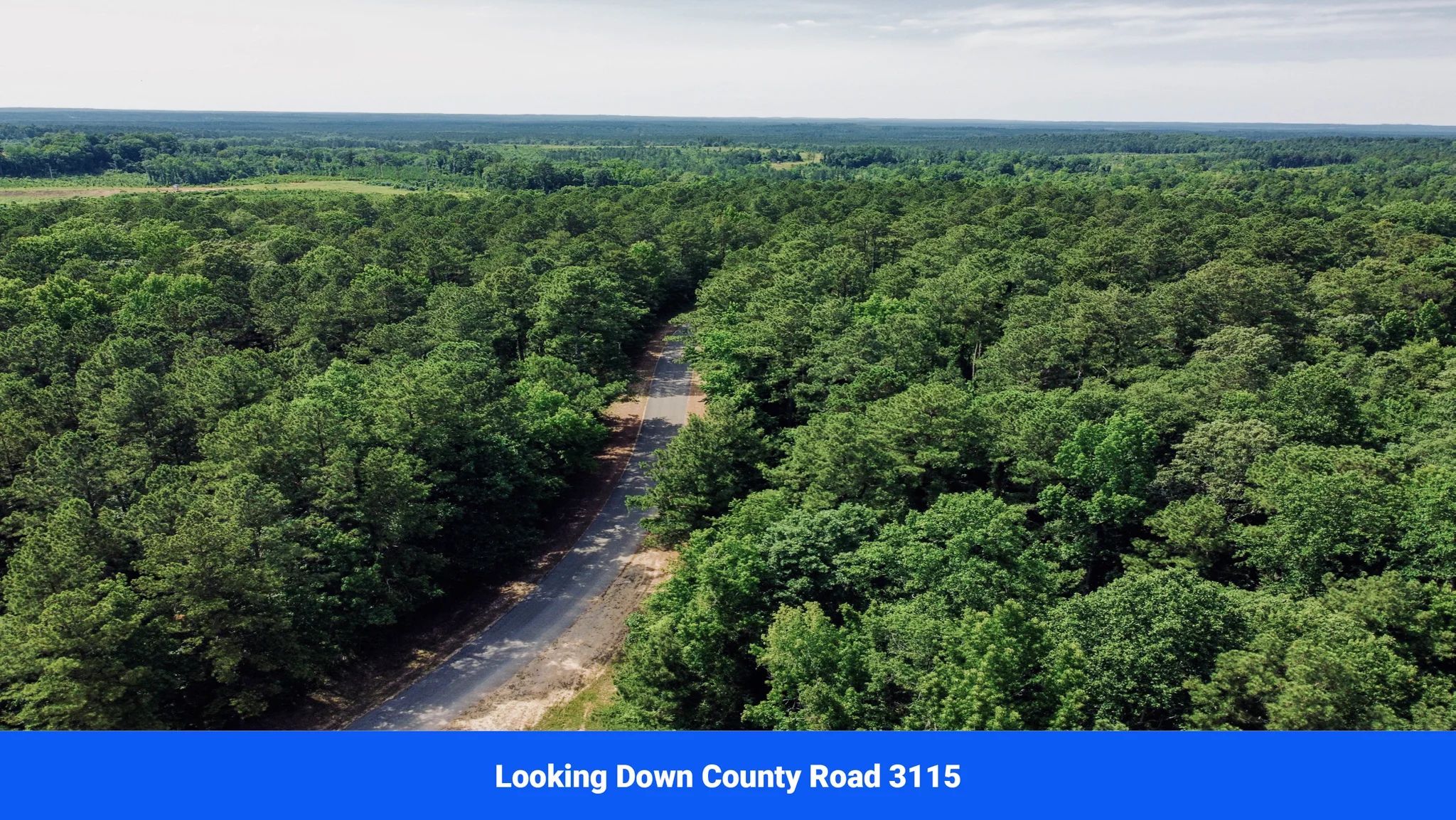 2.17 Acres in Jasper County, MS — No Zoning in Jasper County, MS