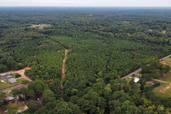 Discover Attala County’s Hidden Gem: 6 Premier Lots Offering Affordable Living and Unmatched Natural Beauty! in Attala County, MS