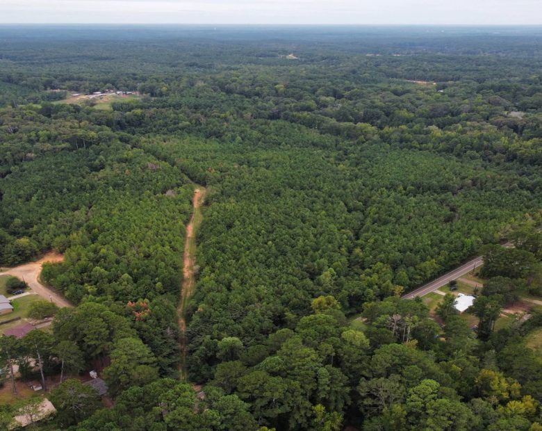 Discover Attala County’s Hidden Gem: 6 Premier Lots Offering Affordable Living and Unmatched Natural Beauty! in Attala County, MS