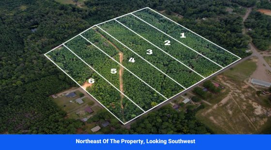 Discover Attala County’s Hidden Gem: 6 Premier Lots Offering Affordable Living and Unmatched Natural Beauty! in Attala County, MS