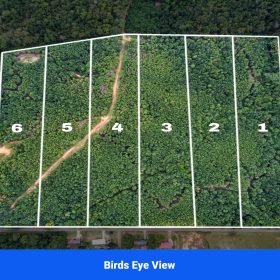 Discover Attala County’s Hidden Gem: 6 Premier Lots Offering Affordable Living and Unmatched Natural Beauty! in Attala County, MS