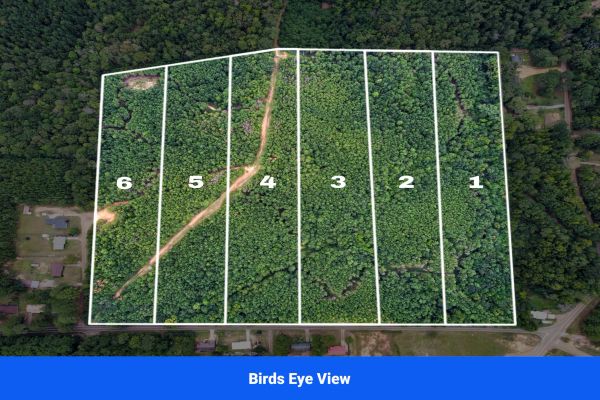 Discover Attala County’s Hidden Gem: 6 Premier Lots Offering Affordable Living and Unmatched Natural Beauty! - Image 3