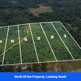 Discover Attala County’s Hidden Gem: 6 Premier Lots Offering Affordable Living and Unmatched Natural Beauty! in Attala County, MS