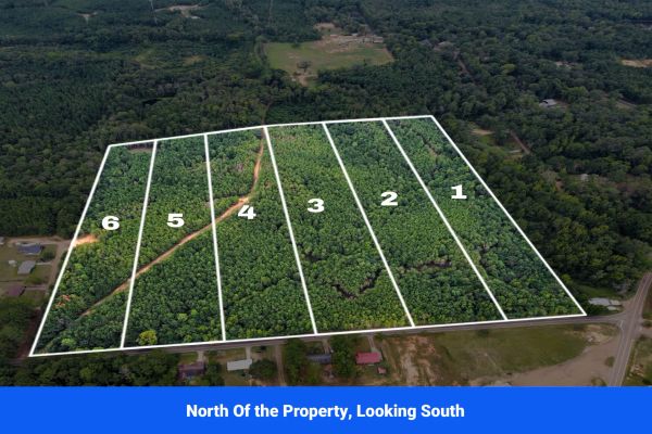 Discover Attala County’s Hidden Gem: 6 Premier Lots Offering Affordable Living and Unmatched Natural Beauty! - Image 4