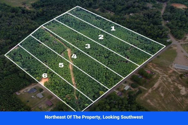Discover Attala County’s Hidden Gem: 6 Premier Lots Offering Affordable Living and Unmatched Natural Beauty! - Image 5