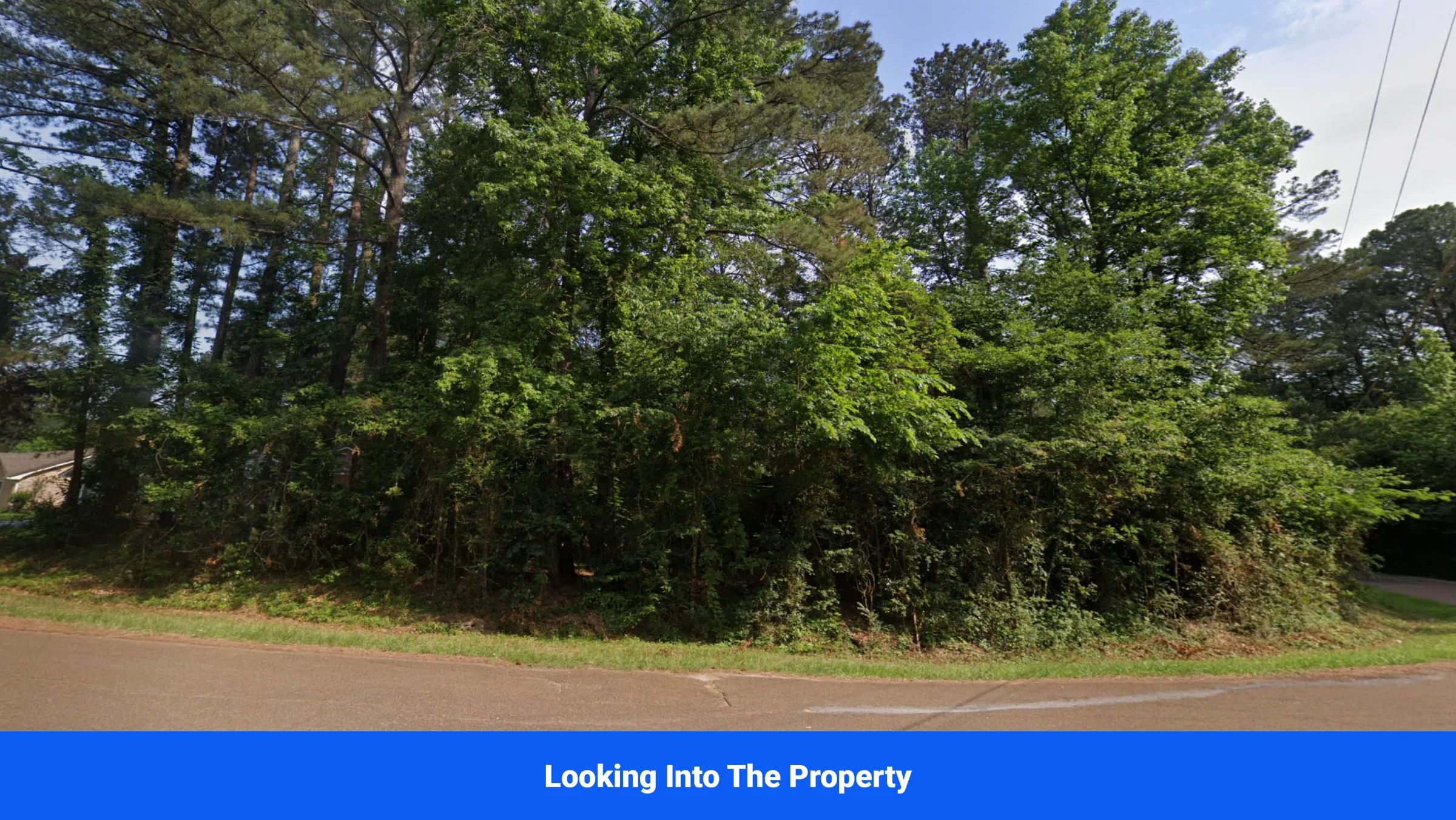 Discover Attala County’s Hidden Gem: 4 Premier Lots Offering Affordable Living and Unmatched Natural Beauty! - Image 2