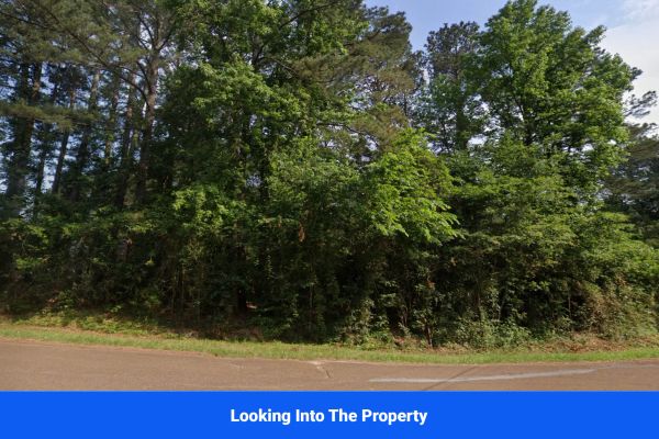Discover Attala County’s Hidden Gem: 4 Premier Lots Offering Affordable Living and Unmatched Natural Beauty! - Image 2