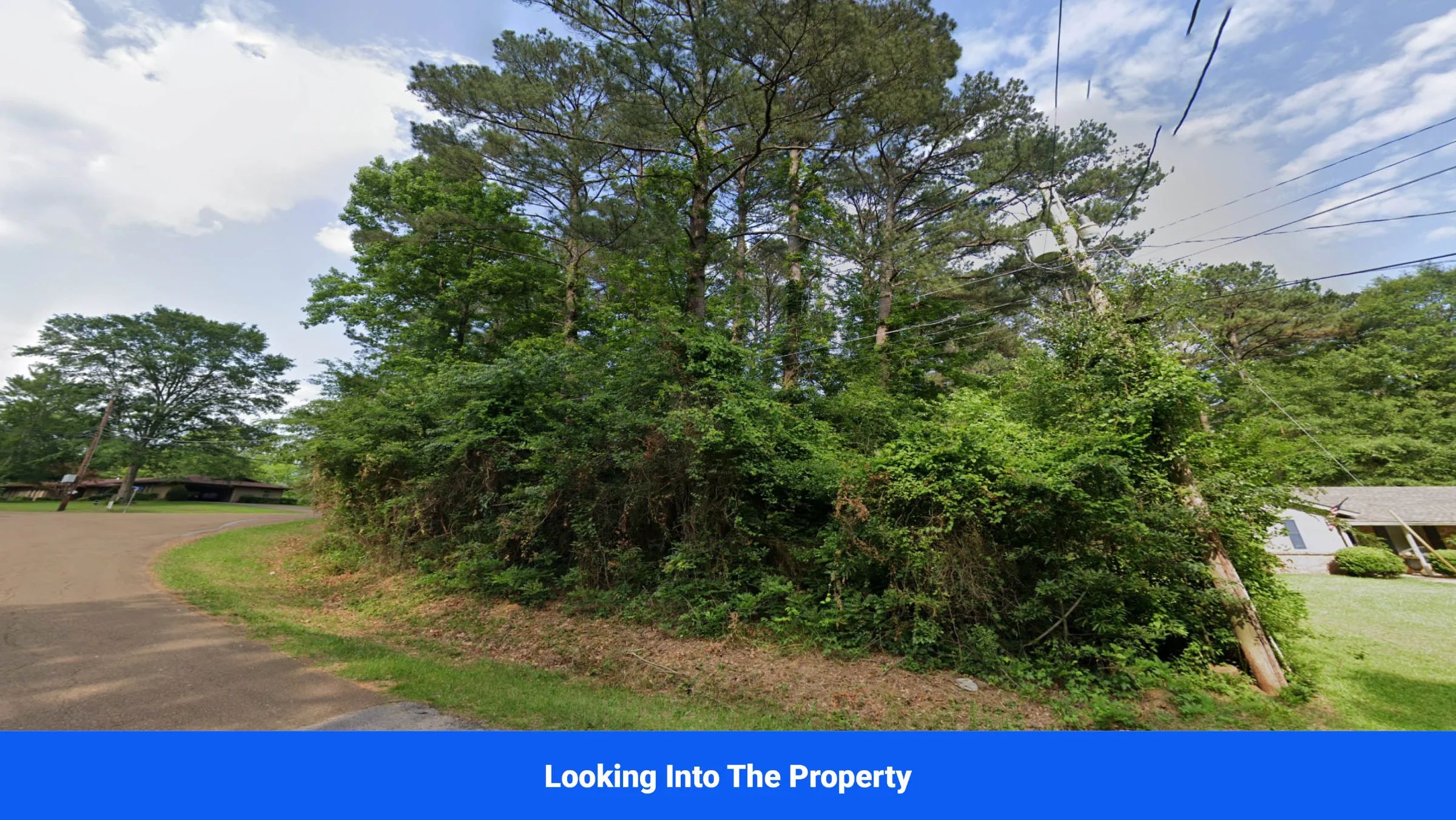 Discover Attala County’s Hidden Gem: 4 Premier Lots Offering Affordable Living and Unmatched Natural Beauty! - Image 3
