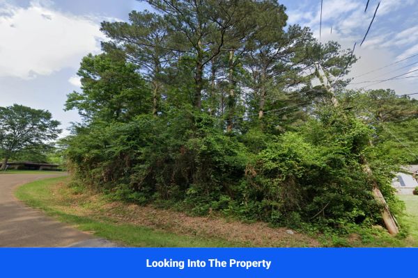 Discover Attala County’s Hidden Gem: 4 Premier Lots Offering Affordable Living and Unmatched Natural Beauty! - Image 3