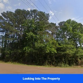 Discover Attala County’s Hidden Gem: 4 Premier Lots Offering Affordable Living and Unmatched Natural Beauty! in Attala County, MS