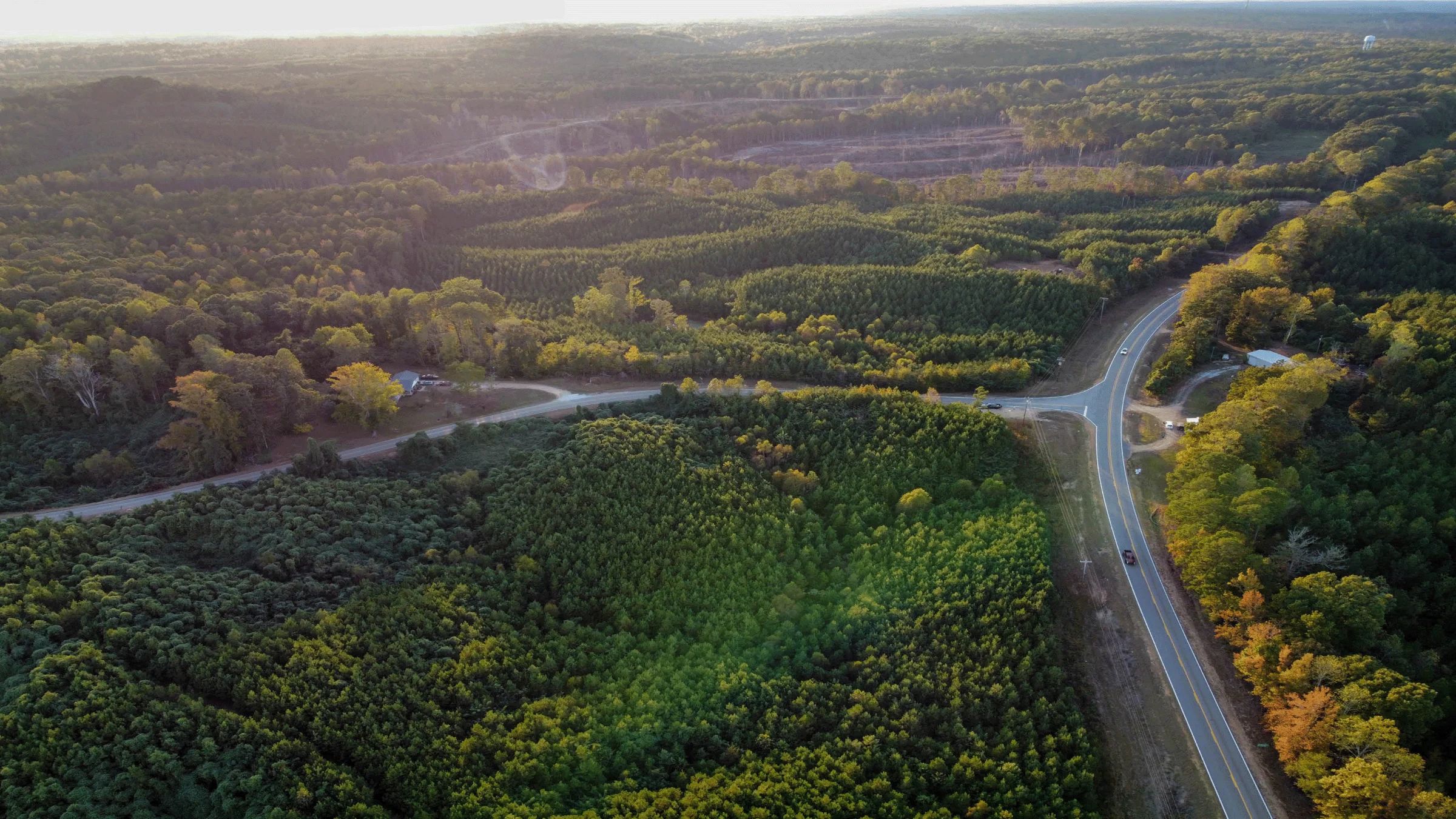 Unrestricted Land in Union County, Mississippi in Union County, MS