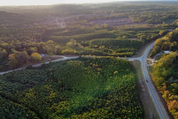 Unrestricted Land in Union County, Mississippi in Union County, MS