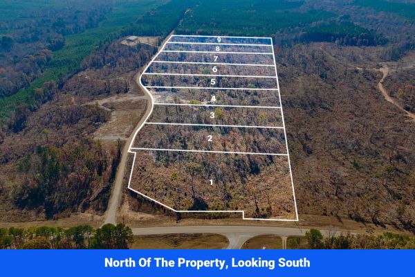 Prentiss County’s Hidden Treasure: 9 Lot’s Available With No Restrictions! - Image 3