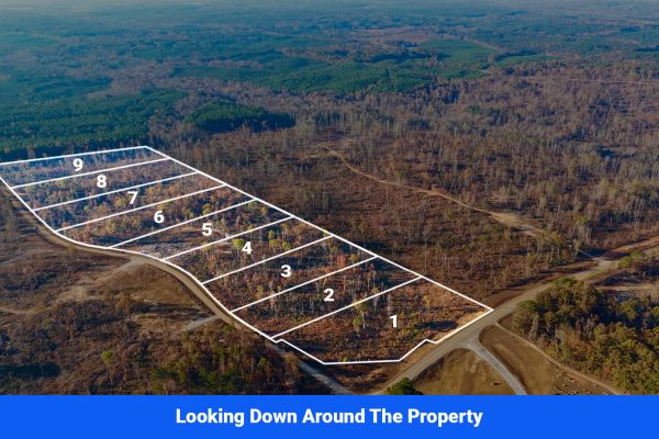 Prentiss County’s Hidden Treasure: 9 Lot’s Available With No Restrictions! - Image 4
