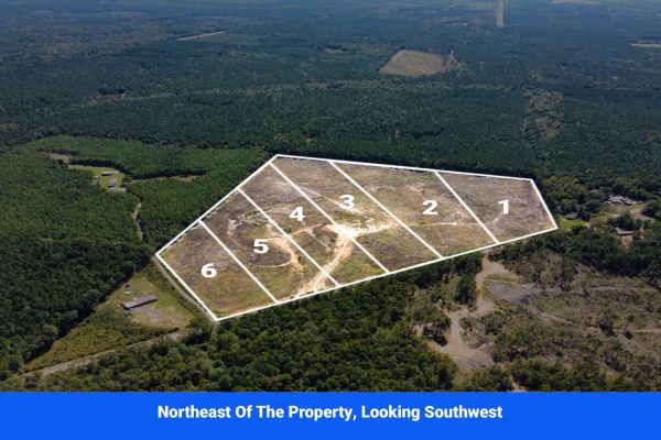 Choctaw County's Premier Jewel: A Stunning 6-Lot Subdivision Awaits! - Image 2