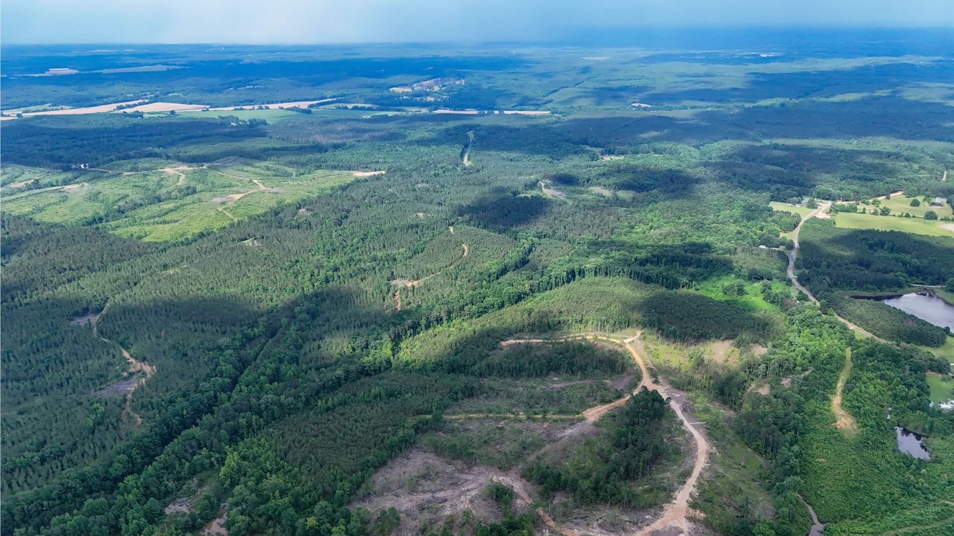 Webster, Mississippi’s Hidden Gem: Luxury 8‑Lot Subdivision! in Webster County, MS