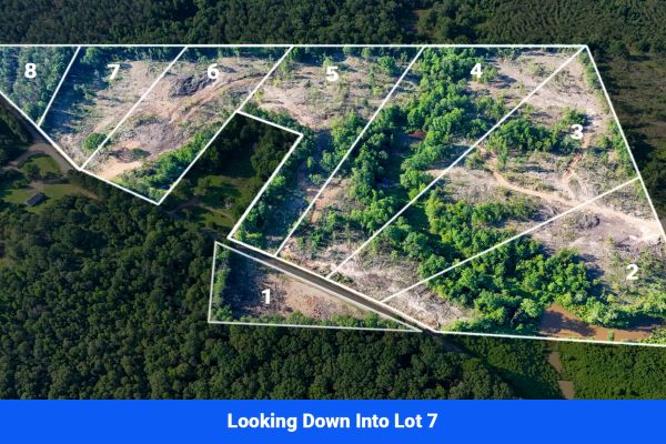 Webster, Mississippi’s Hidden Gem: Luxury 8‑Lot Subdivision! - Image 2