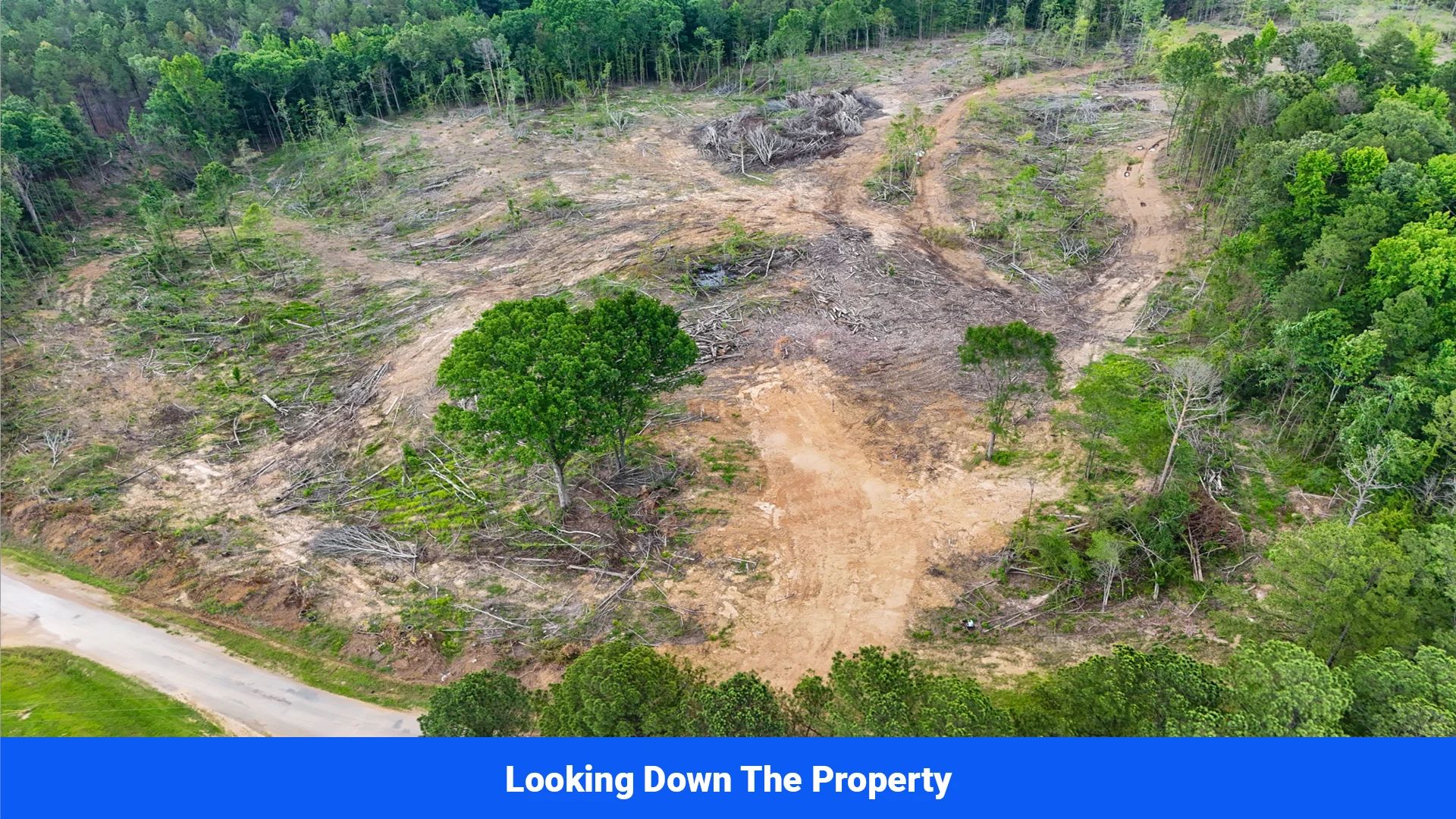 Webster, Mississippi’s Hidden Gem: Luxury 8‑Lot Subdivision! - Image 3