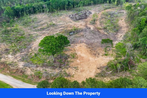 Webster, Mississippi’s Hidden Gem: Luxury 8‑Lot Subdivision! - Image 3