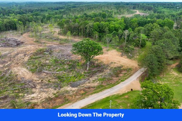 Webster, Mississippi’s Hidden Gem: Luxury 8‑Lot Subdivision! - Image 4