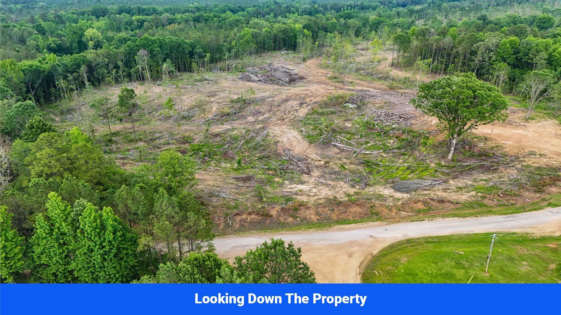 Webster, Mississippi’s Hidden Gem: Luxury 8‑Lot Subdivision! - Image 5