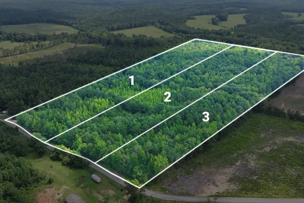 Itawamba County's Premier Jewel: A Stunning 3-Lot Subdivision - Image 4