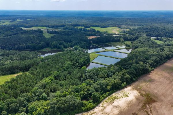 Itawamba County's Premier Jewel: A Stunning 3-Lot Subdivision - Image 5