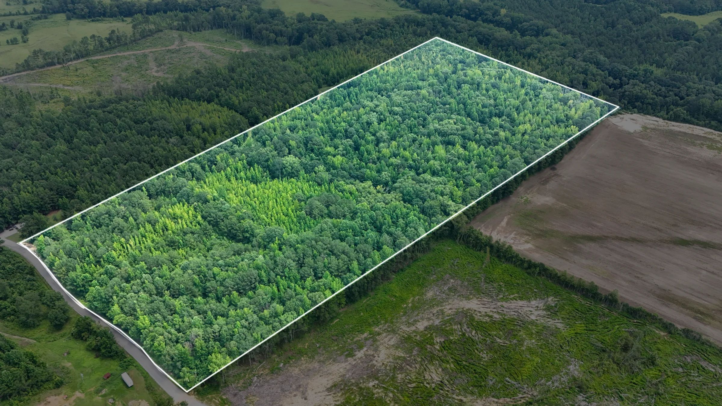 Itawamba County’s Premier Jewel: A Stunning 31.77-Acre Property - Image 5