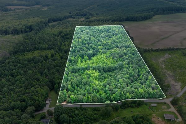 Itawamba County’s Premier Jewel: A Stunning 31.77-Acre Property - Image 2