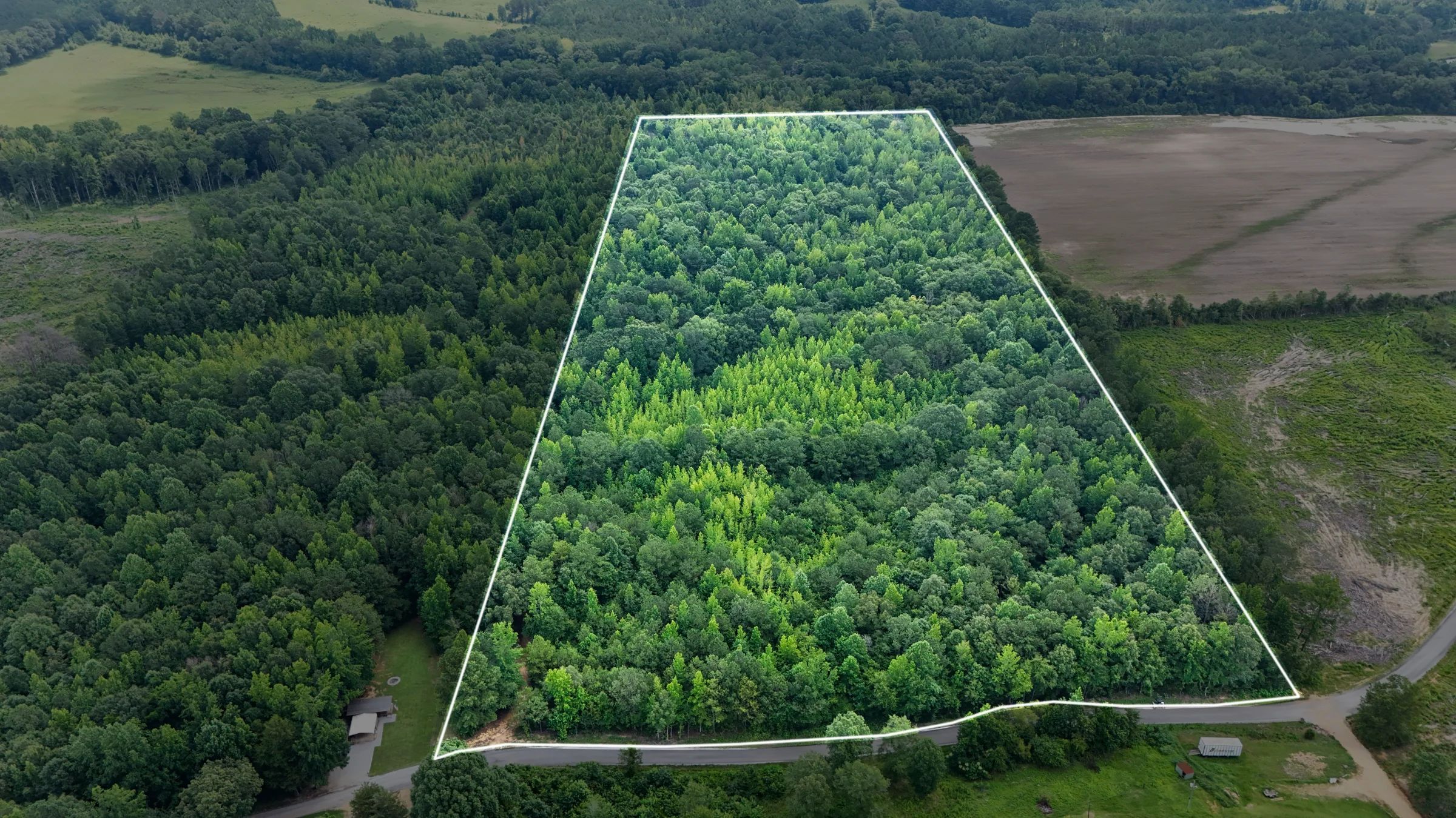 Itawamba County’s Premier Jewel: A Stunning 31.77-Acre Property - Image 4