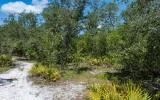 Residential private land by Suwannee River - Image 5
