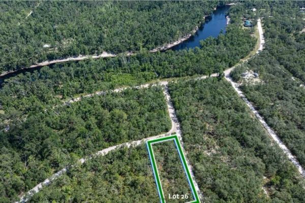 Suwannee River - Private, Affordable Land! - Image 1