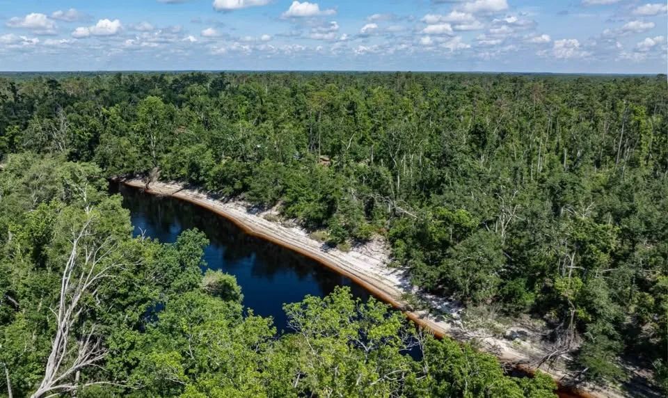 Suwannee River - Private, Affordable Land! - Image 2