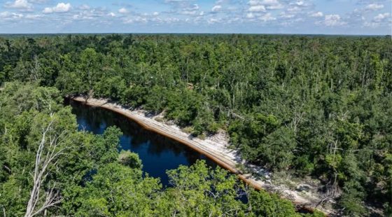 Suwannee River - Private, Affordable Land! in Suwannee County, FL