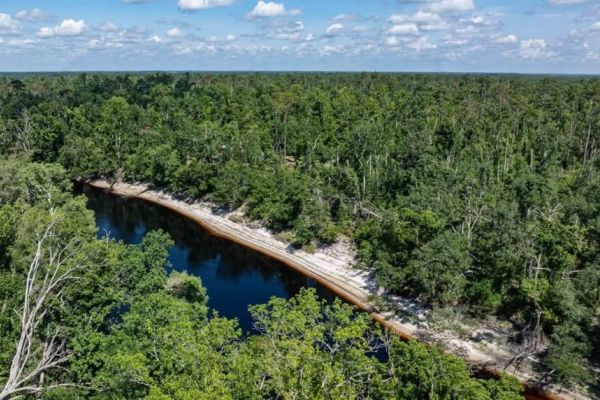 Suwannee River - Private, Affordable Land! - Image 2