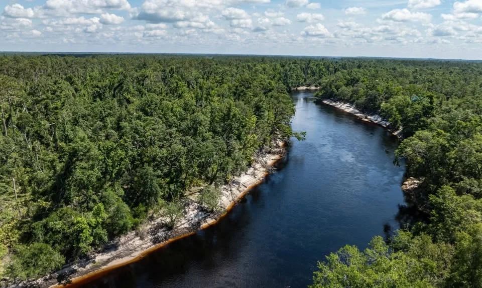 Suwannee River - Private, Affordable Land! - Image 3