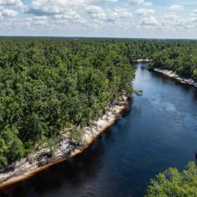 Suwannee River - Private, Affordable Land! in Suwannee County, FL