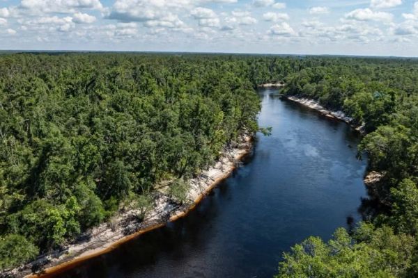 Suwannee River - Private, Affordable Land! - Image 3