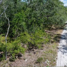 Suwannee River - Private, Affordable Land! in Suwannee County, FL