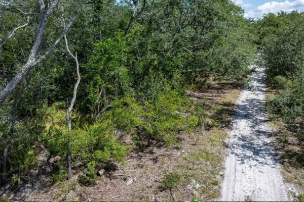 Suwannee River - Private, Affordable Land! - Image 4