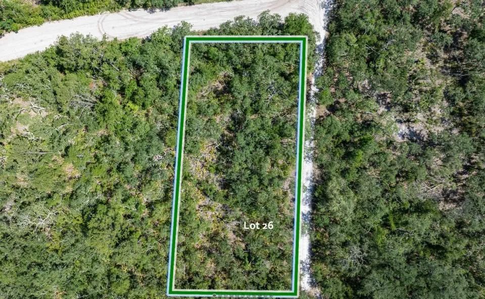 Suwannee River - Private, Affordable Land! - Image 5