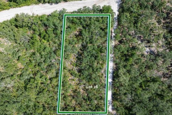 Suwannee River - Private, Affordable Land! - Image 5