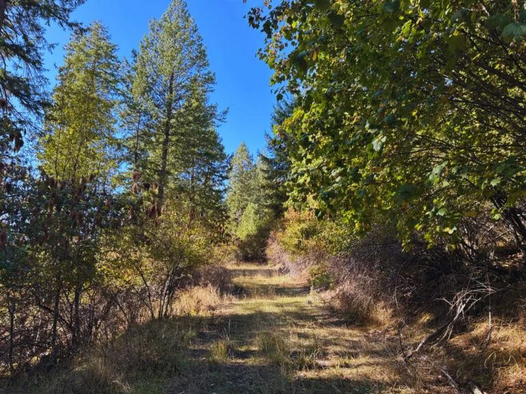 Lakeside Living in Bayview – 0.55 Acres with Power & City Water - Image 1