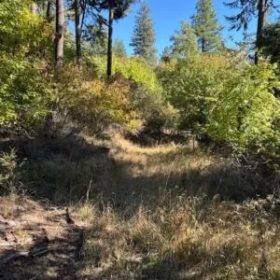 Lakeside Living in Bayview – 0.55 Acres with Power & City Water in Kootenai County, Idaho