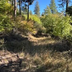 Lakeside Living in Bayview – 0.55 Acres with Power & City Water - Image 4