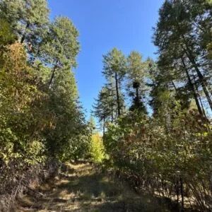 Lakeside Living in Bayview – 0.55 Acres with Power & City Water - Image 5